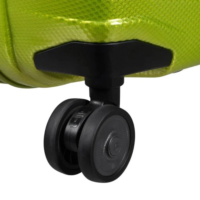 Proxis spinner grande