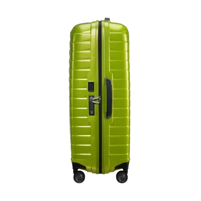 Proxis spinner grande